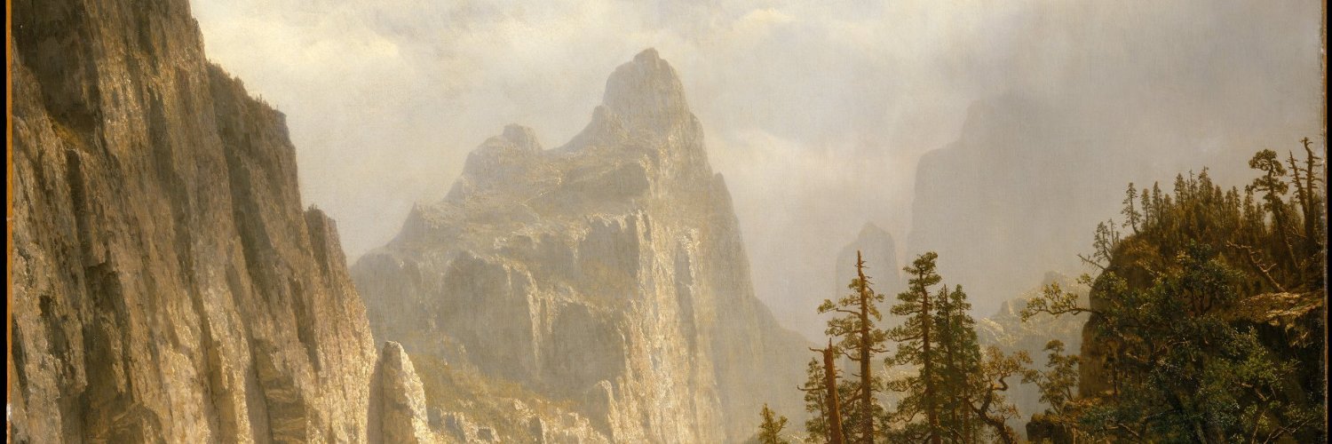 nemoguitarmusic's profile banner image