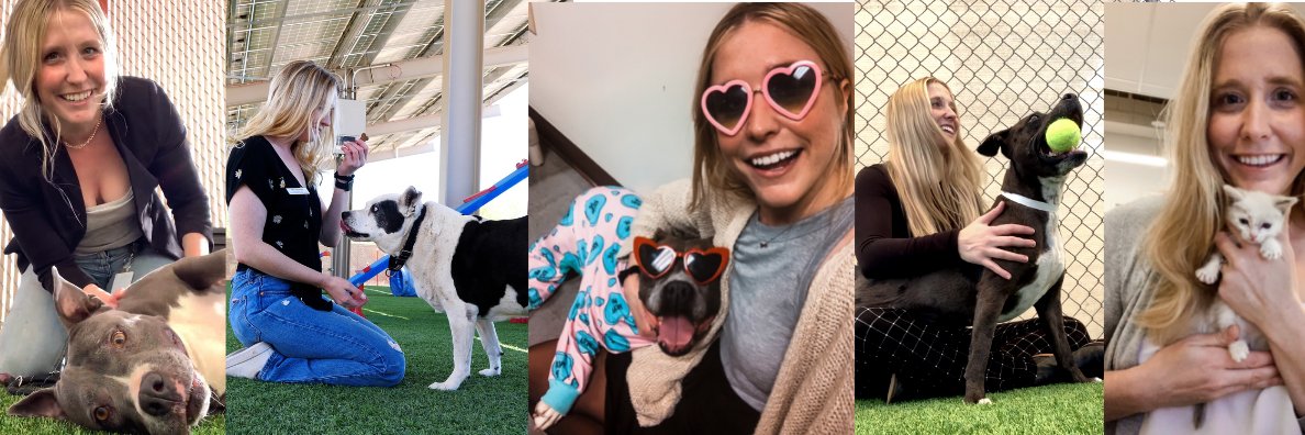 Hannah Carl banner