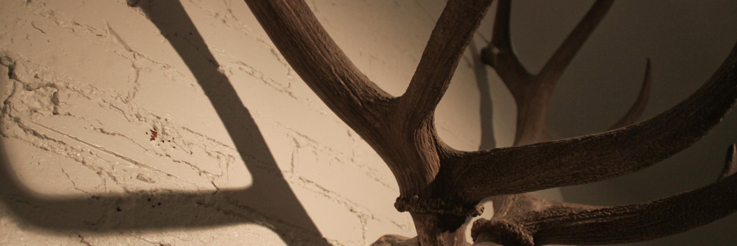 apollomatrix's profile banner image
