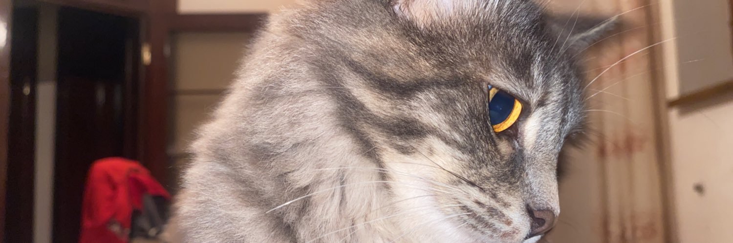BULUDF's profile banner image