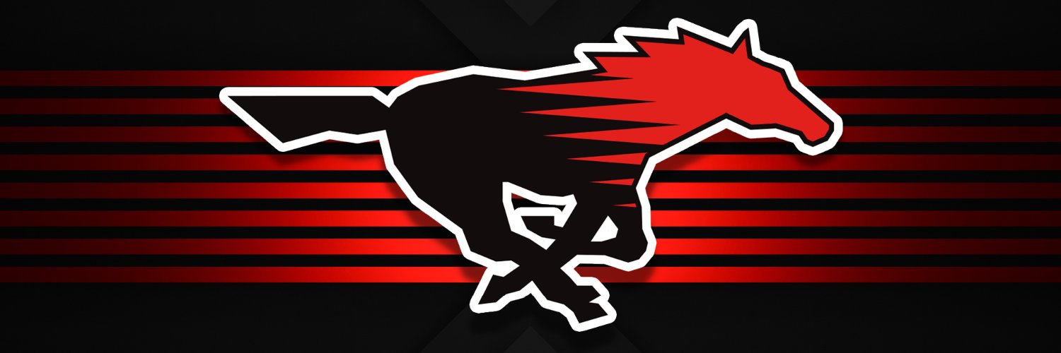 Shallowater Sports Network's banner