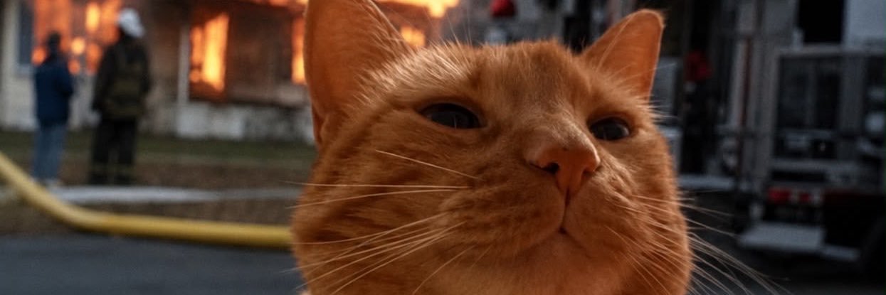 AndreCisneros13's profile banner image