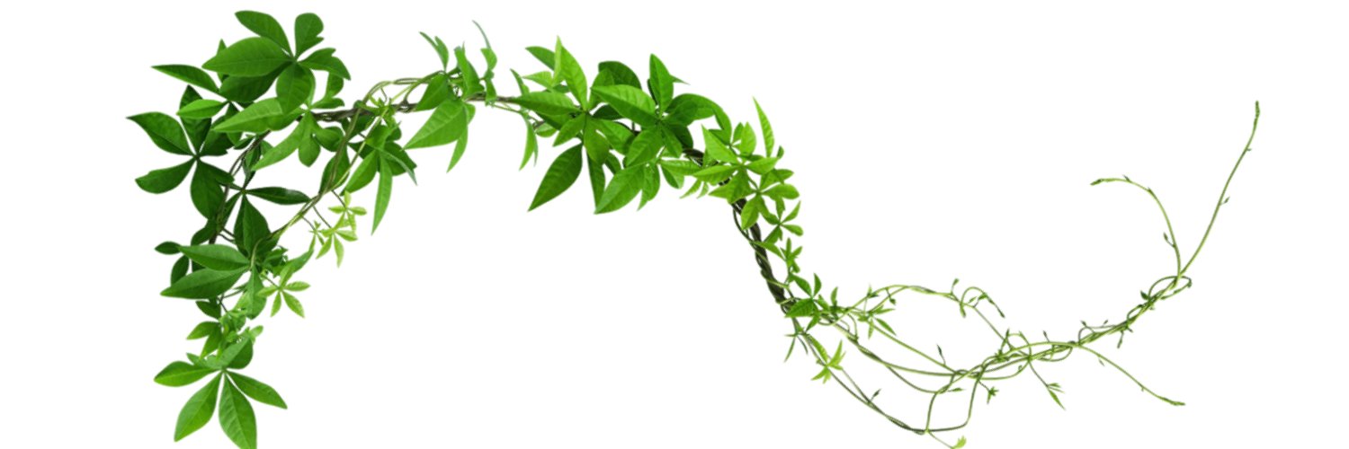 VINEx banner
