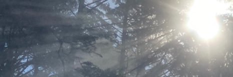 naidagn's profile banner image
