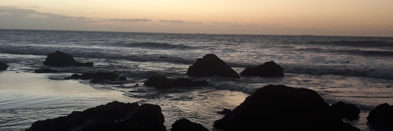 flowelchh's profile banner image