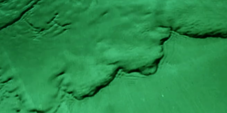 Occupied Head banner