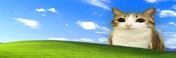 rakçı serpil 🧷 🎗️ banner