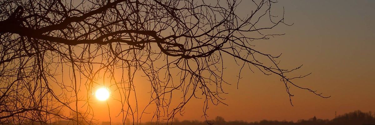 QatarOfficial's profile banner image