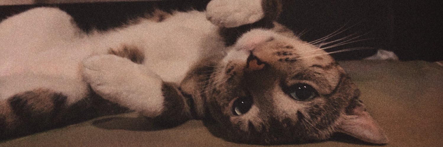 १९ banner