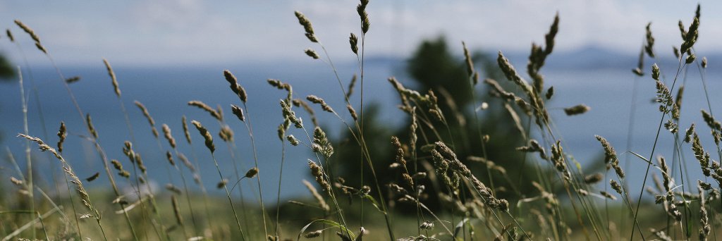 David Rothera banner