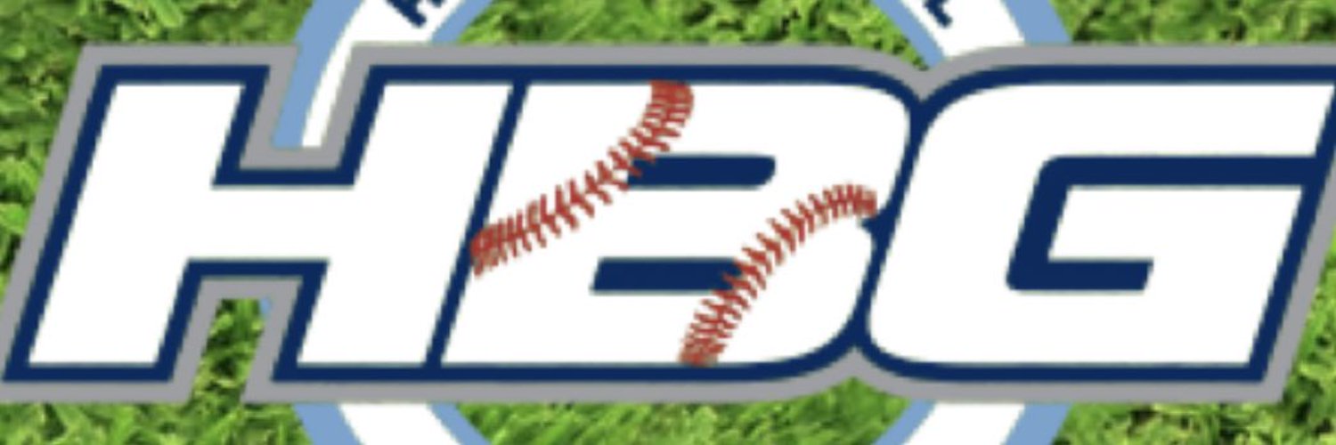 HBG (Hawaii Baseball Group) Profile Banner