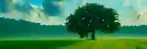 DANYELLMO3's profile banner image