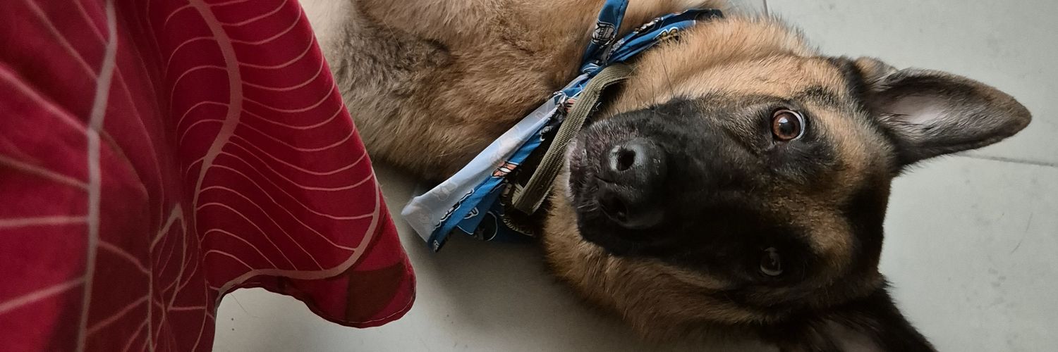 LizLynx's profile banner image