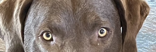 JamieFain66 Profile Banner