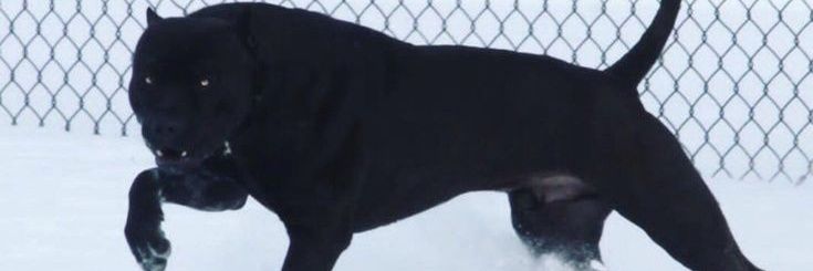 Hsnrayan13's profile banner image