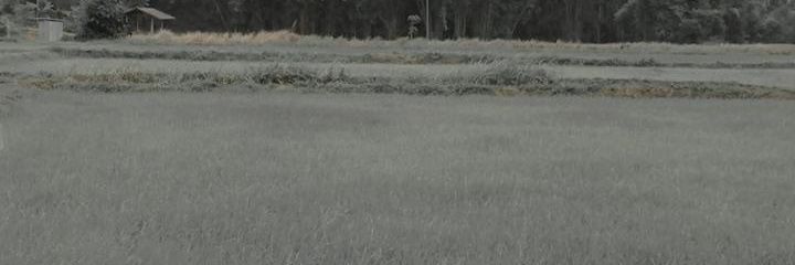 utt sex ชายเเท้ banner