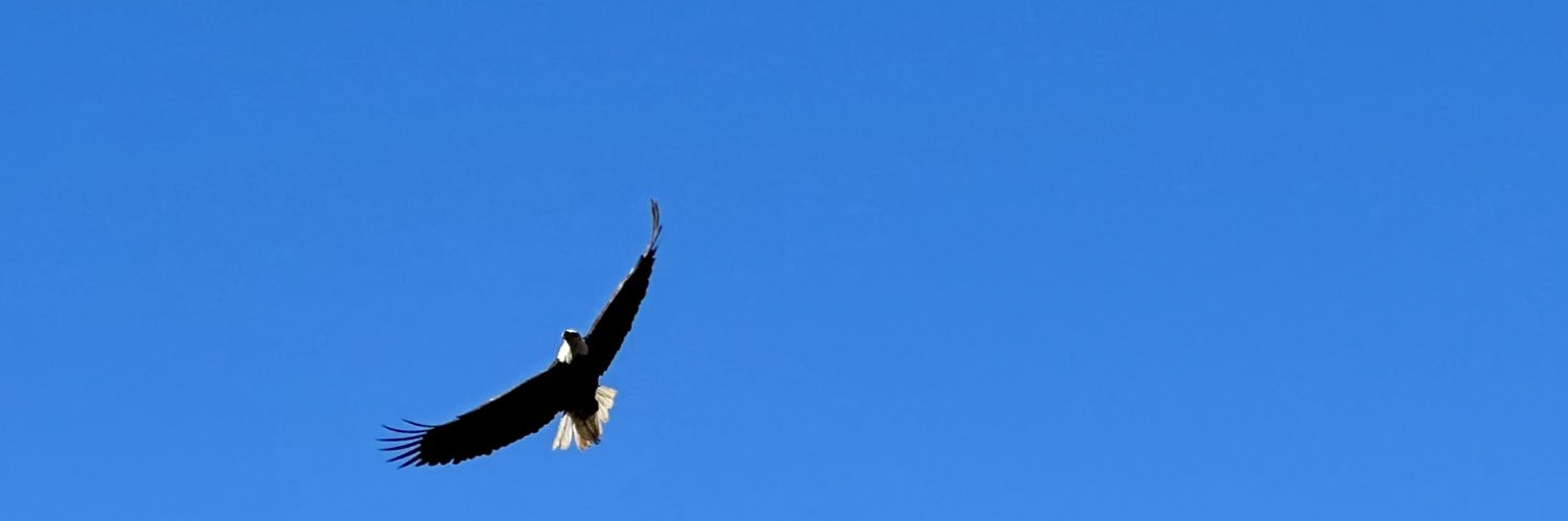 beevans's profile banner image