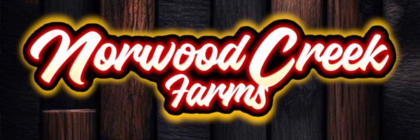 N0RW00DCREEK Profile Banner