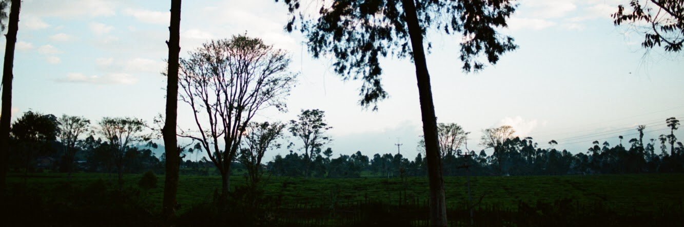 rnsatria's profile banner image
