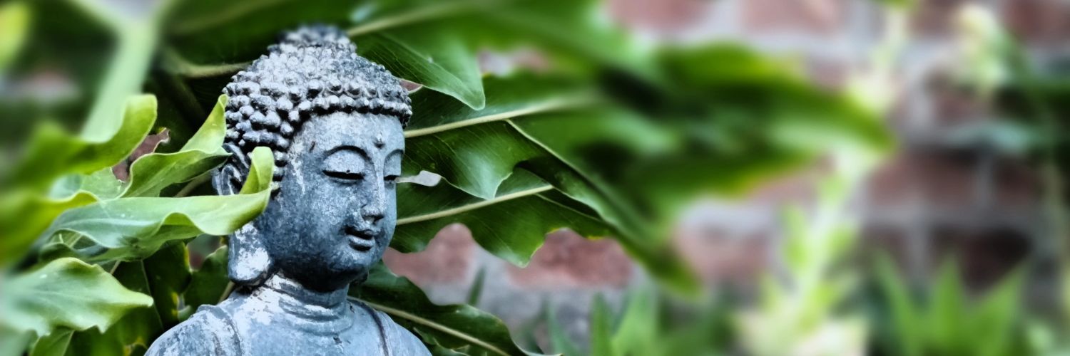 budasierra's profile banner image
