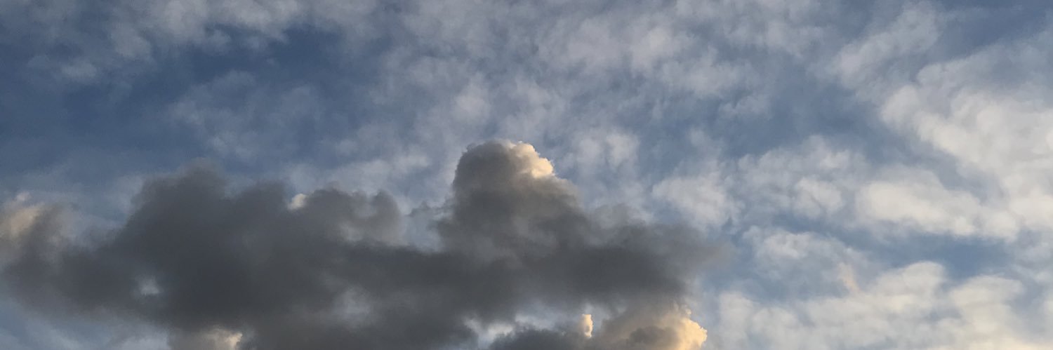 CruzPamelaa's profile banner image