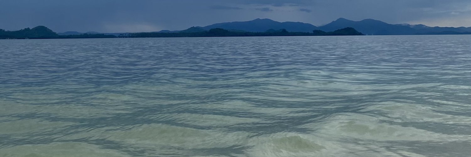 dianutaa's profile banner image
