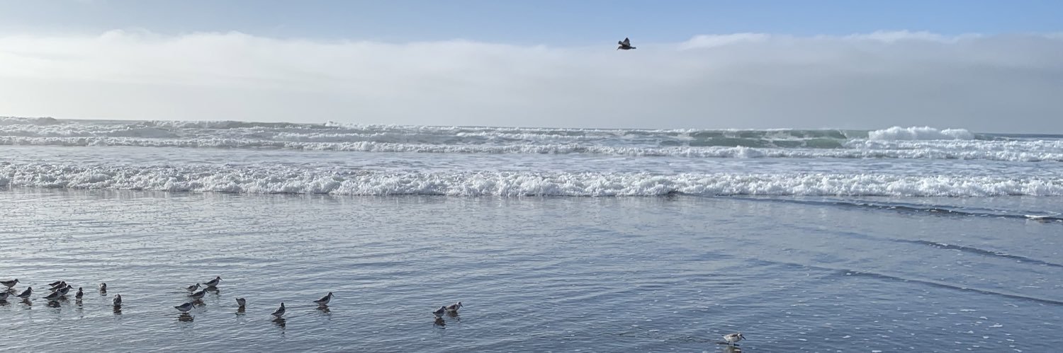 Angelina Calderon banner