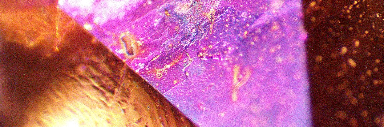 NFTROCKS.X banner