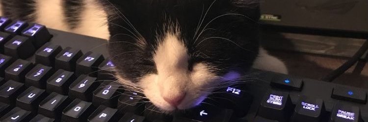 pieceofshawn's profile banner image