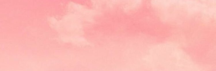 diellzx's profile banner image