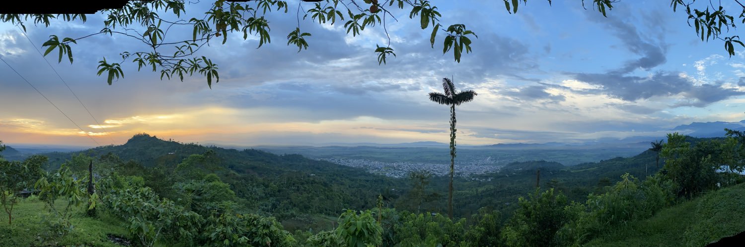 Valeria Matute banner