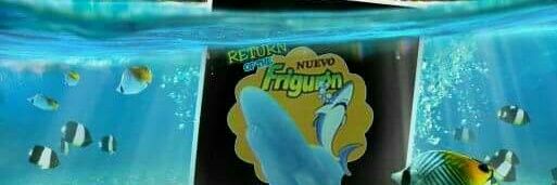 DOMINGUILLO13's profile banner image