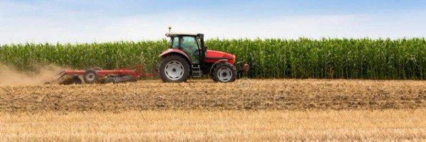 Dameteedavatte Profile Banner