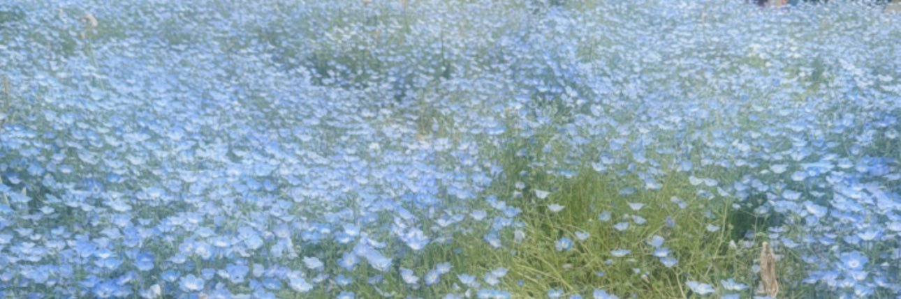 37_a_05's profile banner image