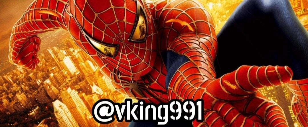 vking991's profile banner image