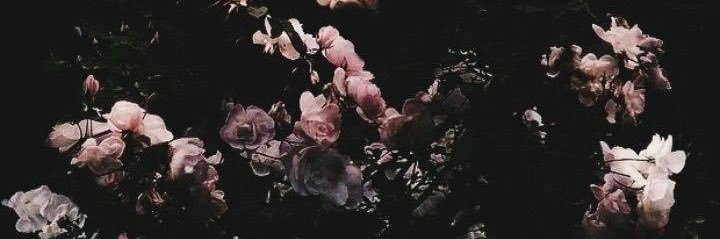 yraamil_'s profile banner image
