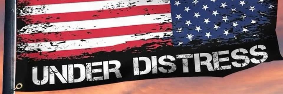 TPBlue 🇺🇸🦅's banner