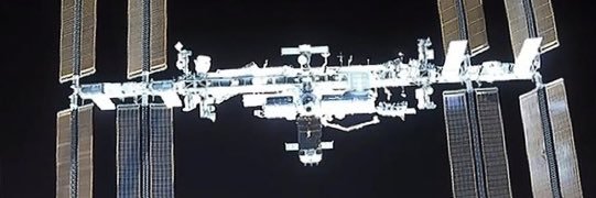 Larry Perlstein banner