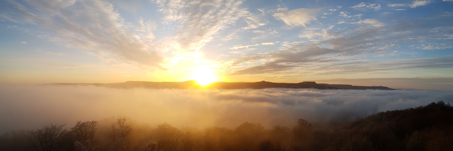 Jürgen Groll banner