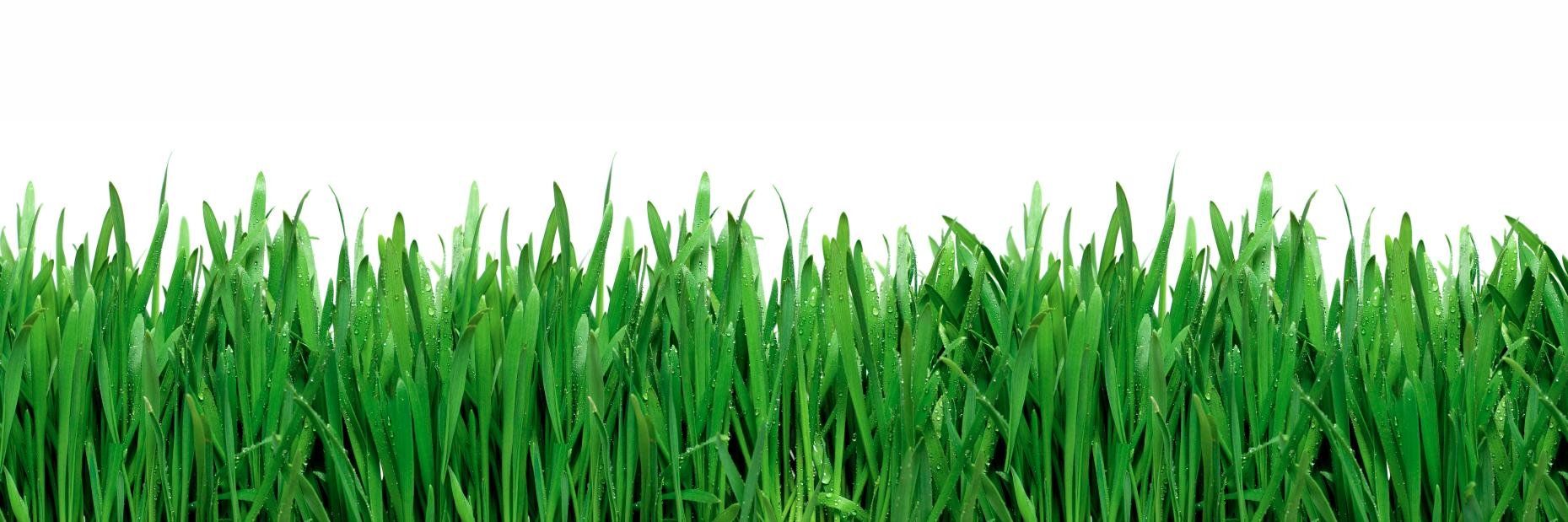 Dominik Herrmann banner