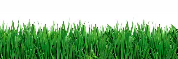 herdom Profile Banner