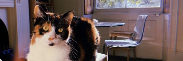 karlado Profile Banner