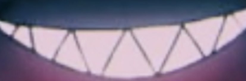 True Seminole banner