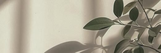 Shannon banner