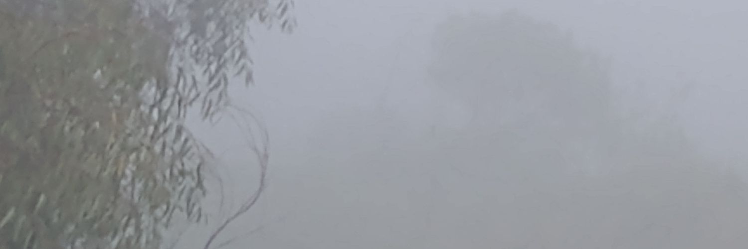 Ederock banner