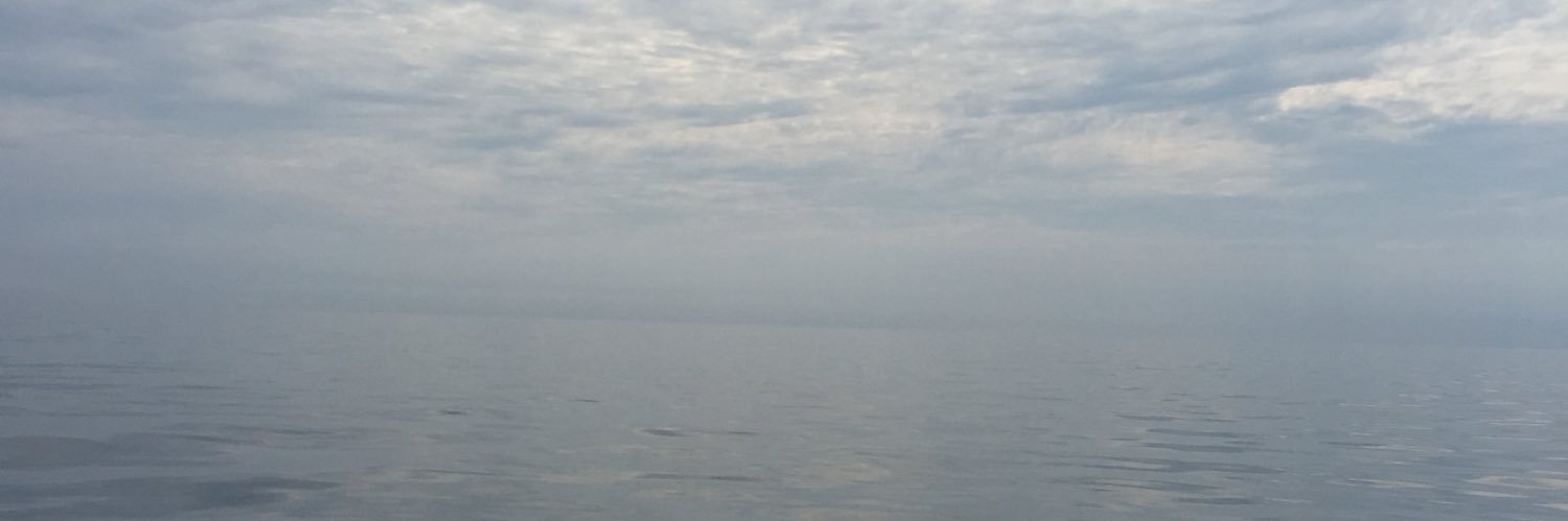 davidsieg's profile banner image
