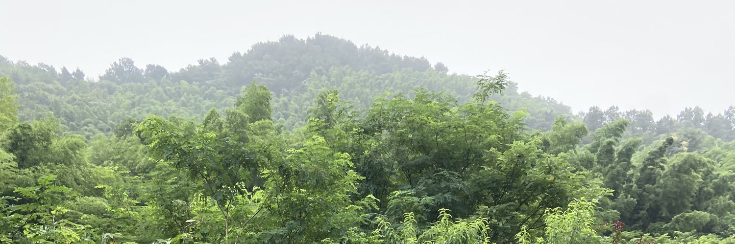 Xd7Yu5's profile banner image