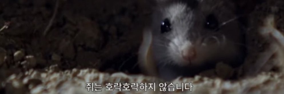 감고언 야르고간 banner