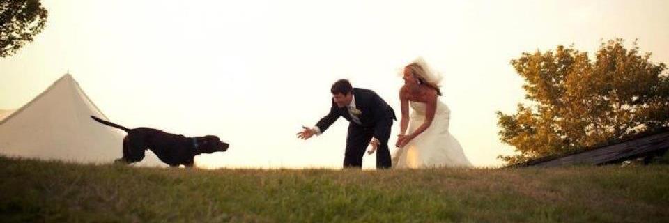 Insufficient Funds banner