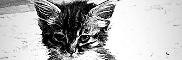 calcifer0905 Profile Banner